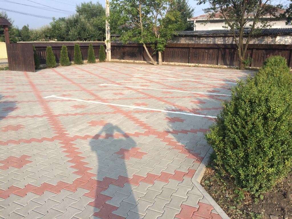 Zvoristea Pensiunea Dany - Crys מראה חיצוני תמונה